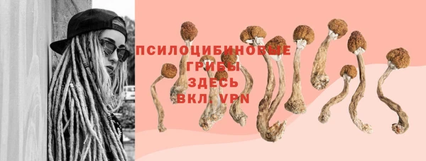 твердый Алексеевка