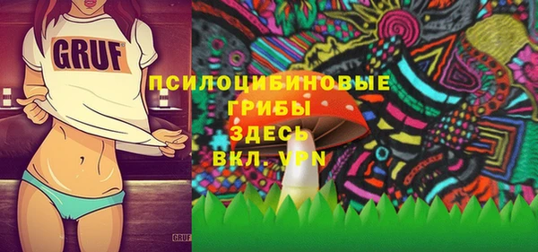 дурь Медвежьегорск