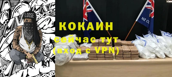 твердый Алексеевка